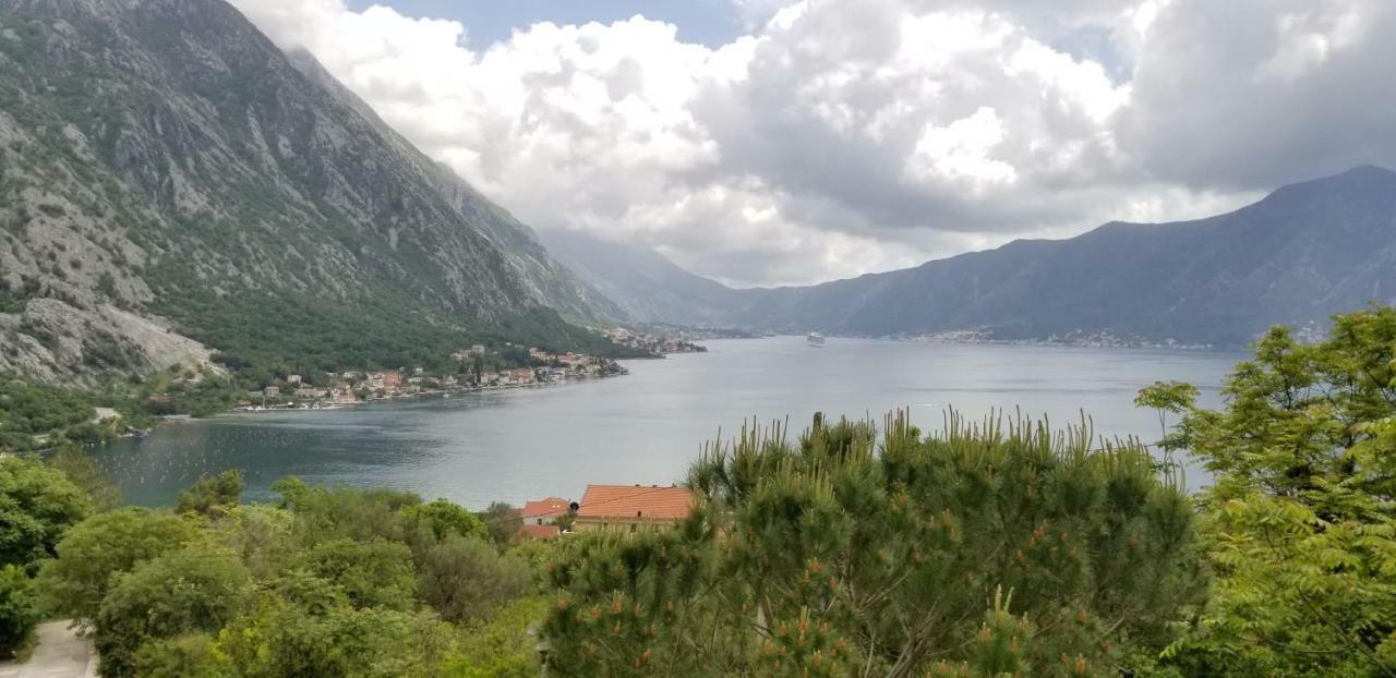 Green Village Kotor Extérieur photo